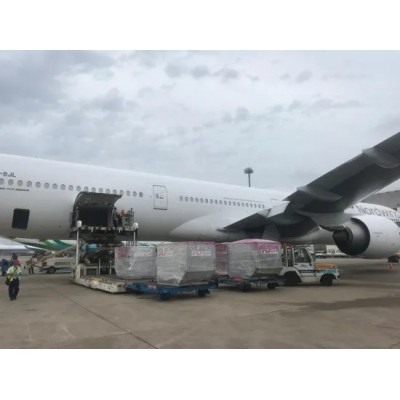 Air Cargo Cargo Agent From China to Cebu Best Shipping Agent Service